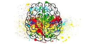 brain 2