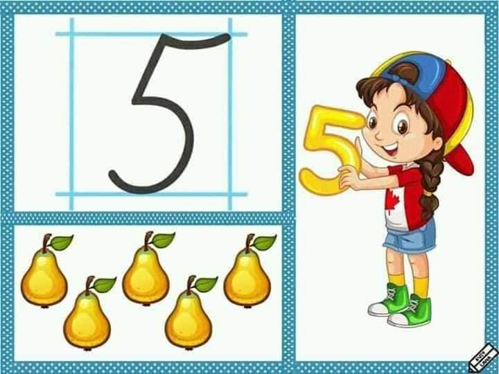 84169807 2746444768765439 1535297602541584384 n
