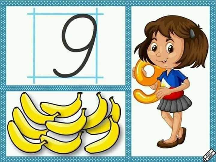 87372042 2746444982098751 8181407563481350144 n