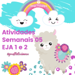 SEMANA 5 6