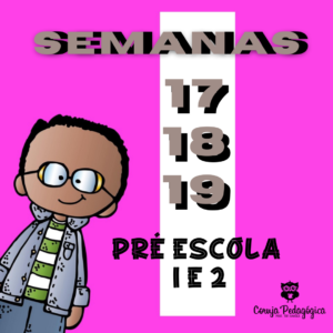 semanas 17 18 e 19 3