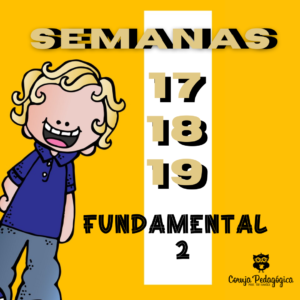 semanas 17 18 e 19 5