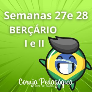 Semanas 27 e 28