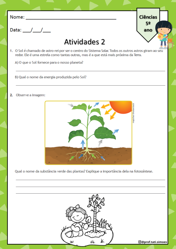 5anocienciasaula2comgabaritocorujapedagogica1