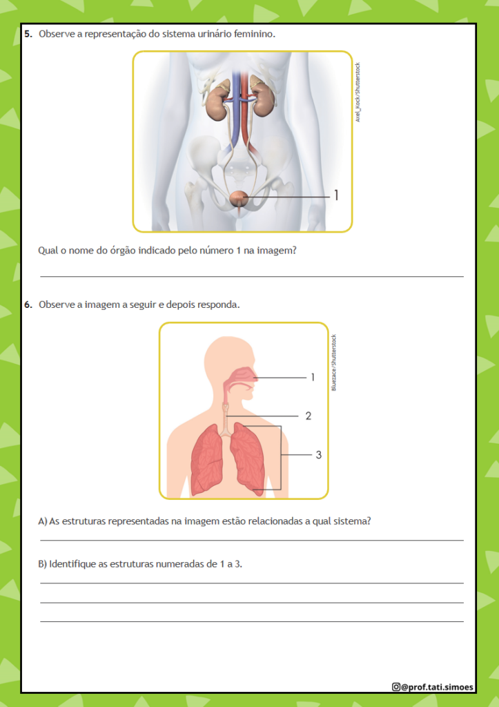 5anocienciasaula4comgabaritocorujapedagogica3