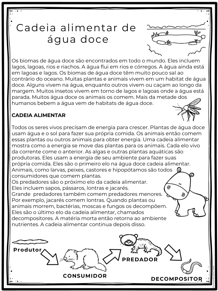 Plano de aula e atividade com bncc Cadeia alimentar água doce - 5º ano