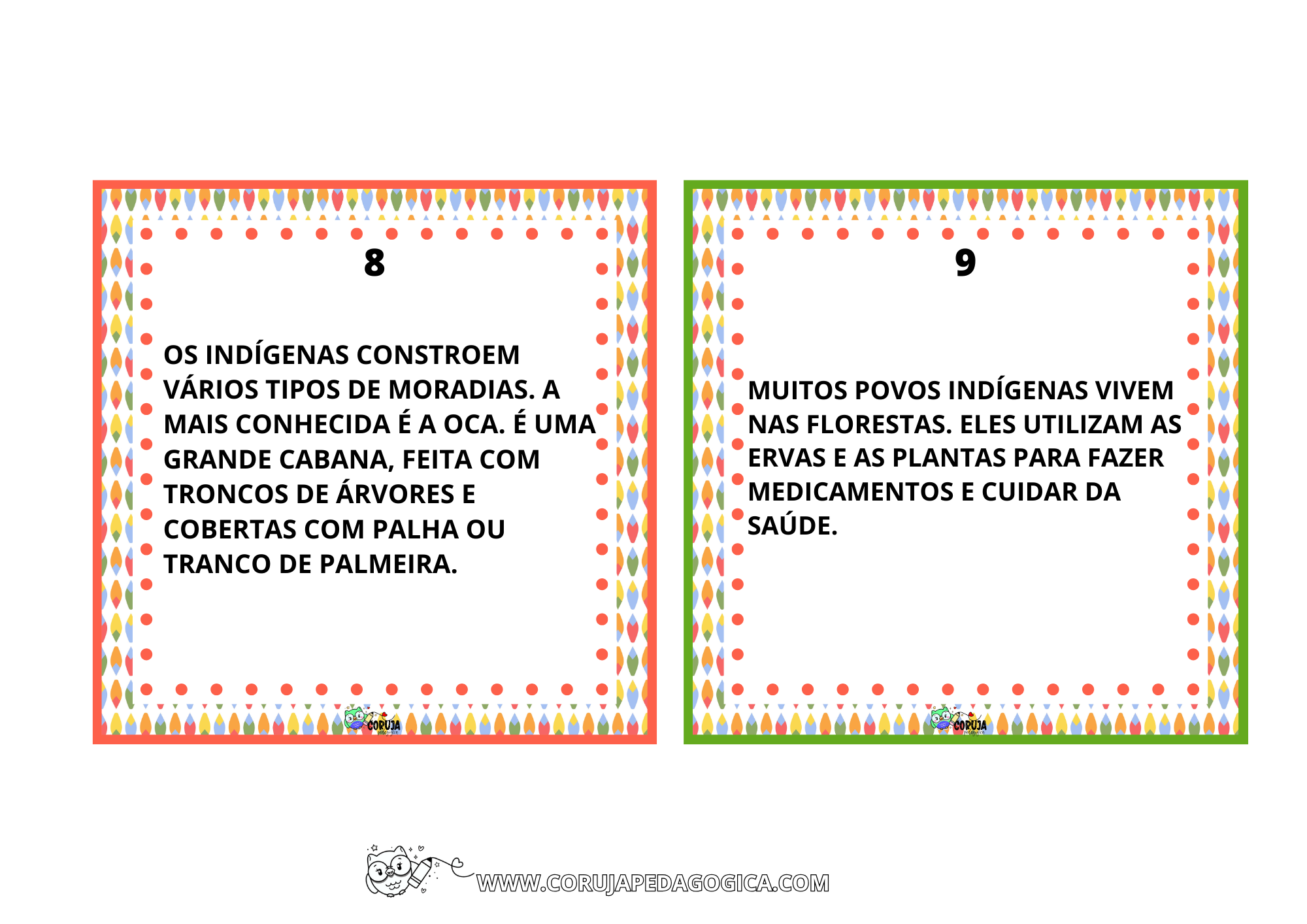 FLASH CARDS CULTURA INDÍGENA