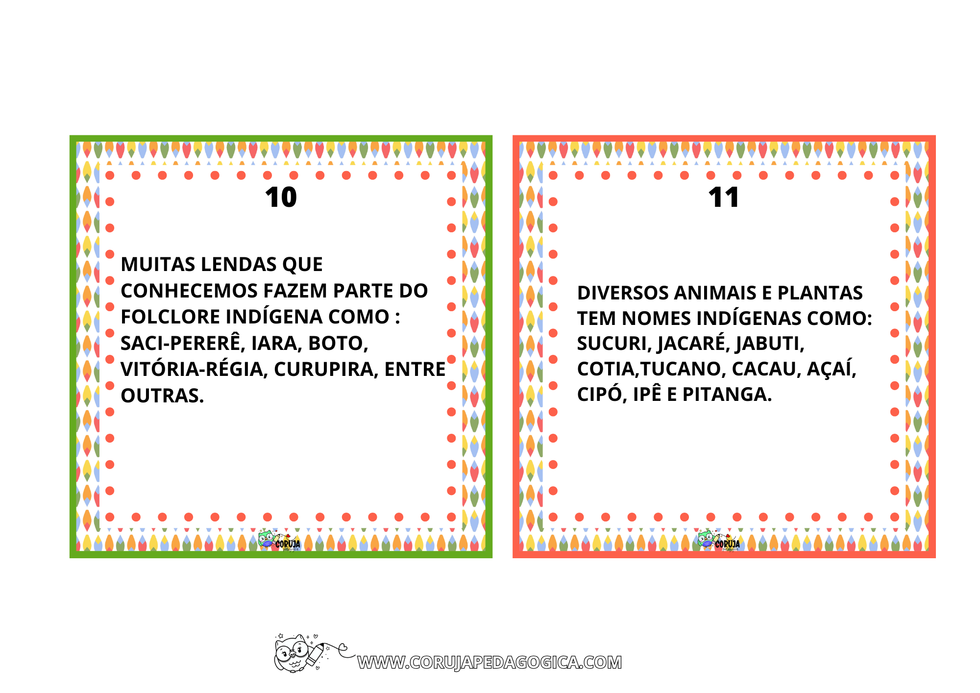 FLASH CARDS CULTURA INDÍGENA