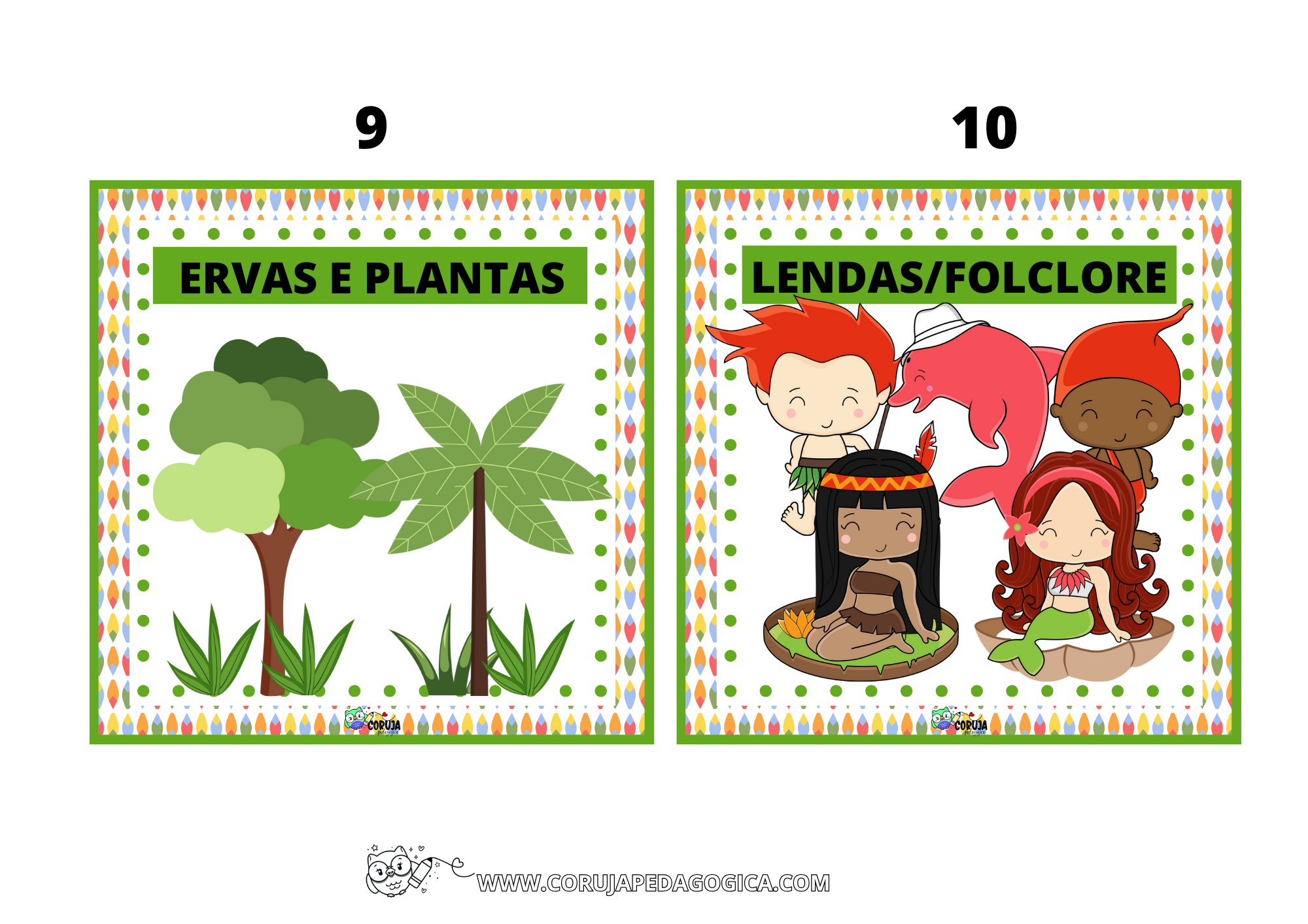 FLASH CARDS CULTURA INDÍGENA