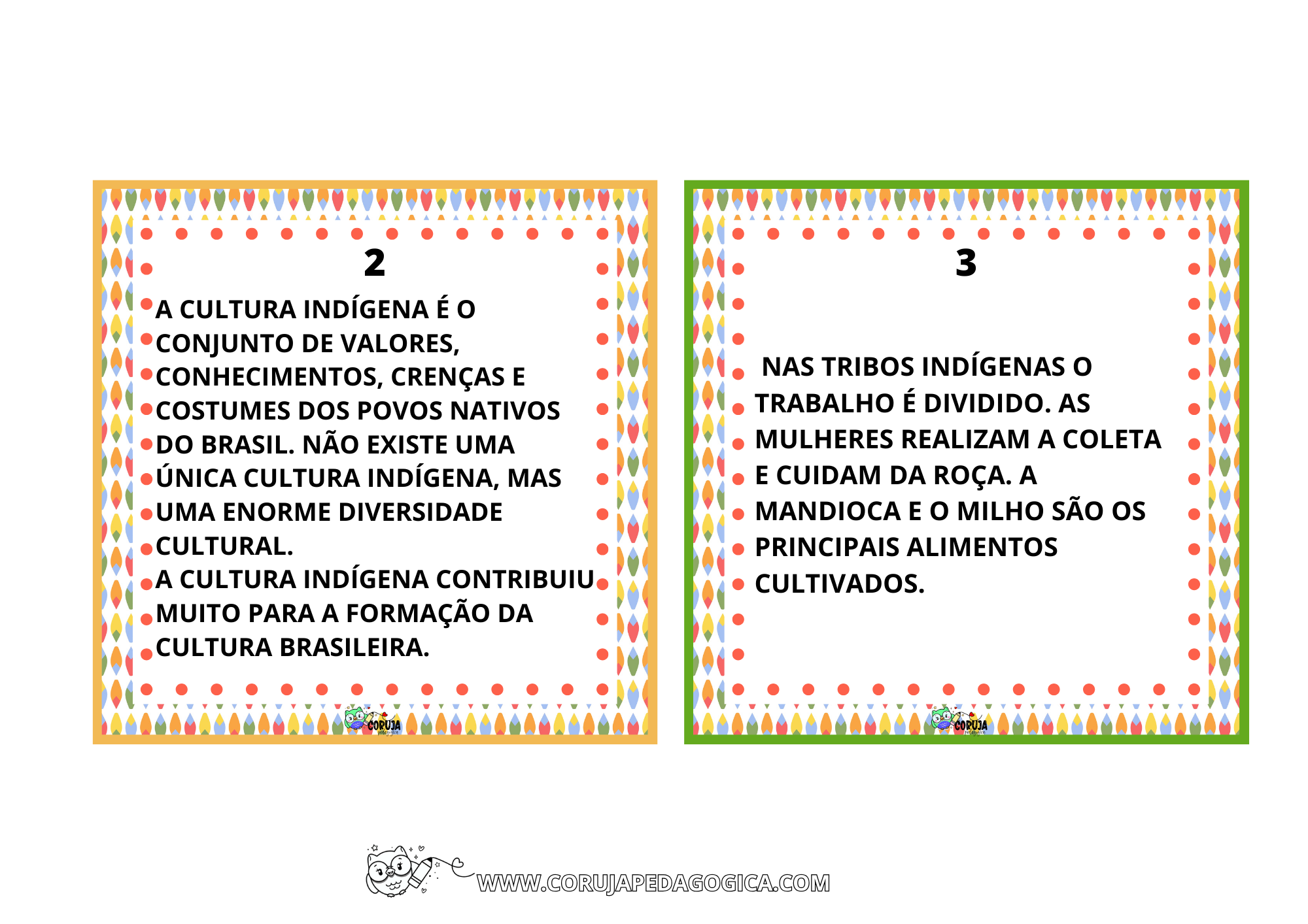 FLASH CARDS CULTURA INDÍGENA