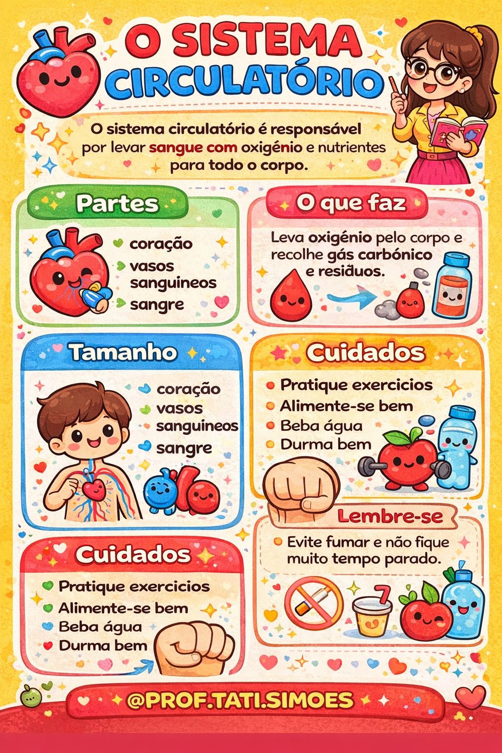 atividade sistema circulatório ensino fundamental